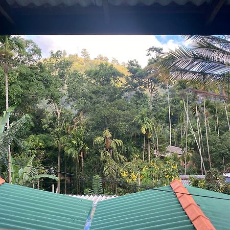 Cozy Homestay Waterfall Road Ella Esterno foto