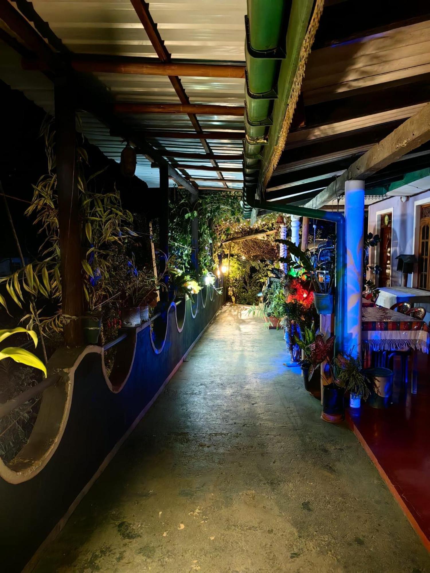 Cozy Homestay Waterfall Road Ella Esterno foto