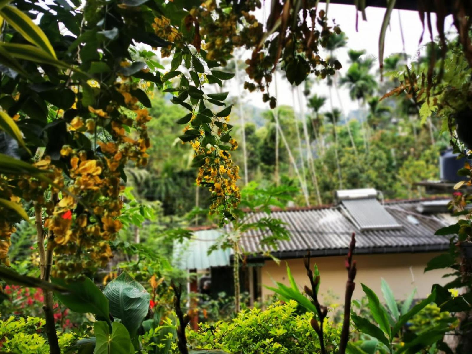 Cozy Homestay Waterfall Road Ella Esterno foto
