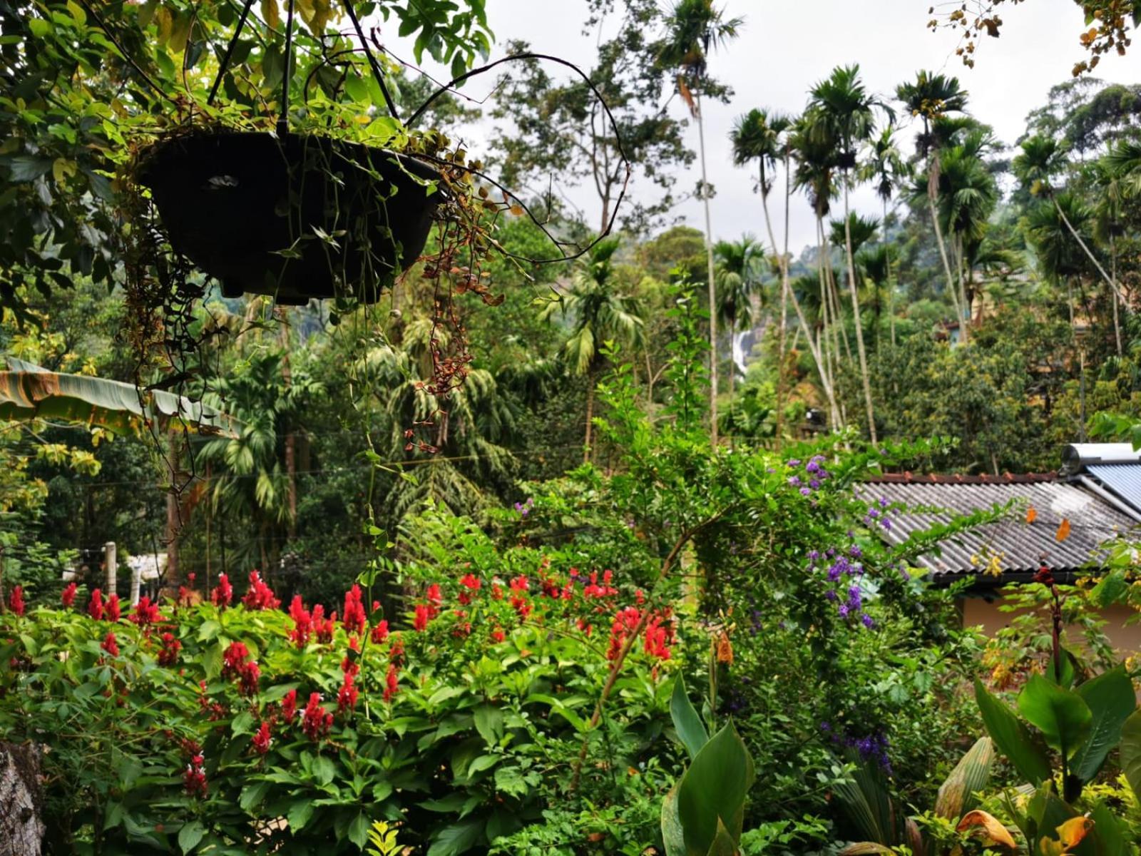 Cozy Homestay Waterfall Road Ella Esterno foto