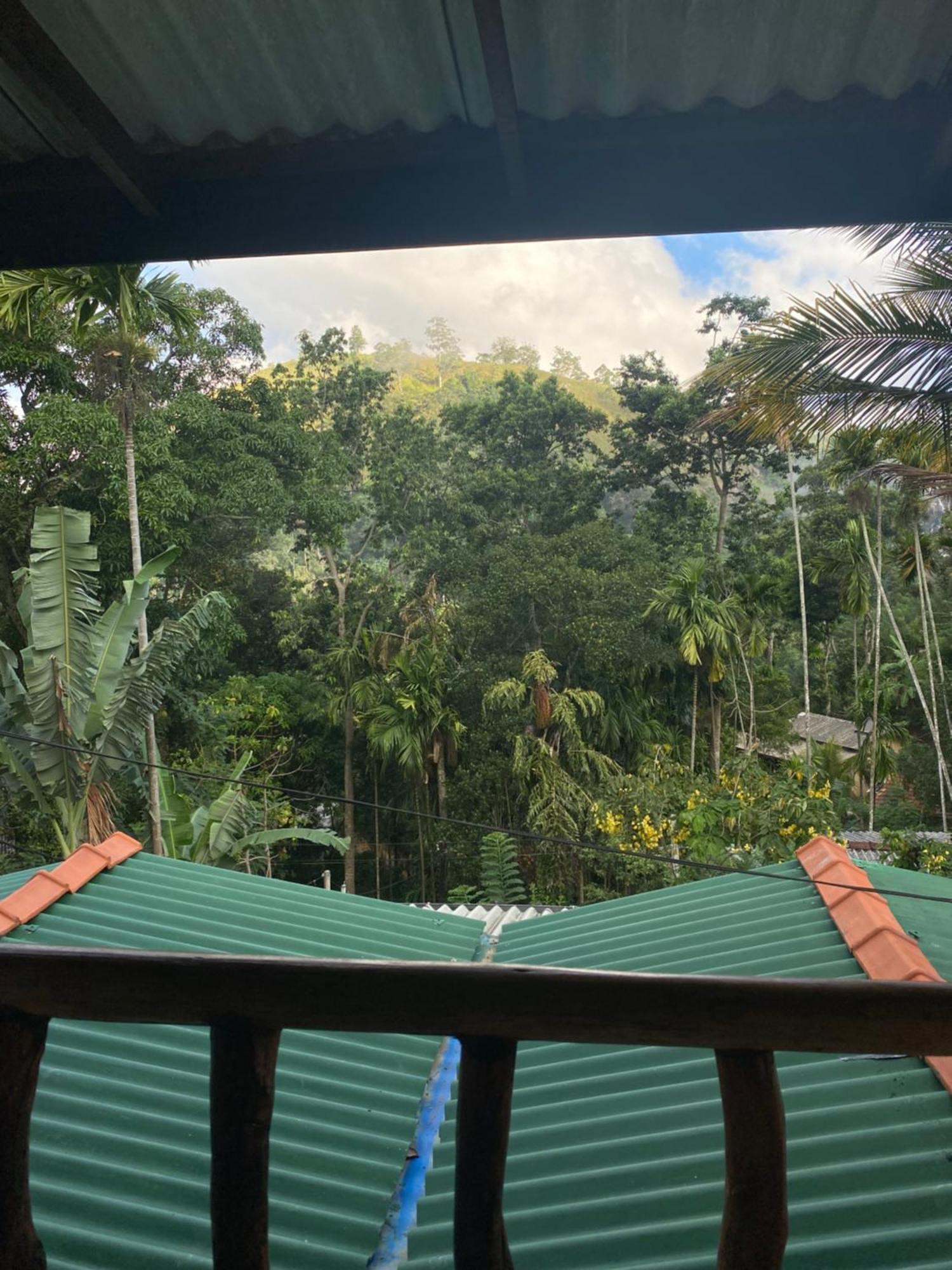 Cozy Homestay Waterfall Road Ella Esterno foto