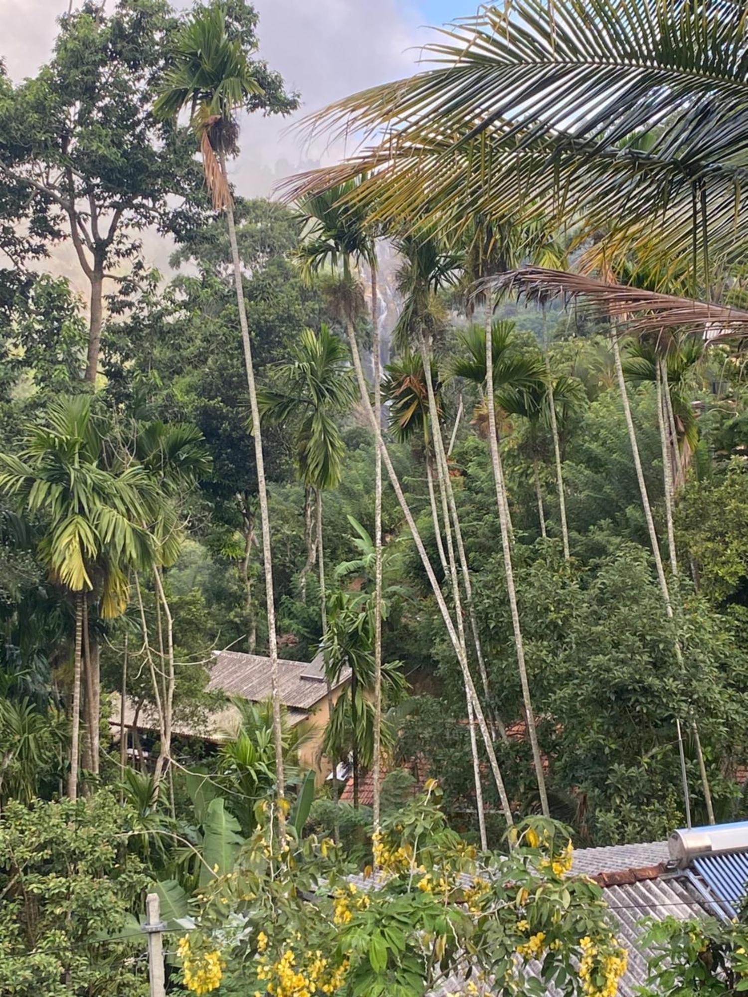 Cozy Homestay Waterfall Road Ella Esterno foto
