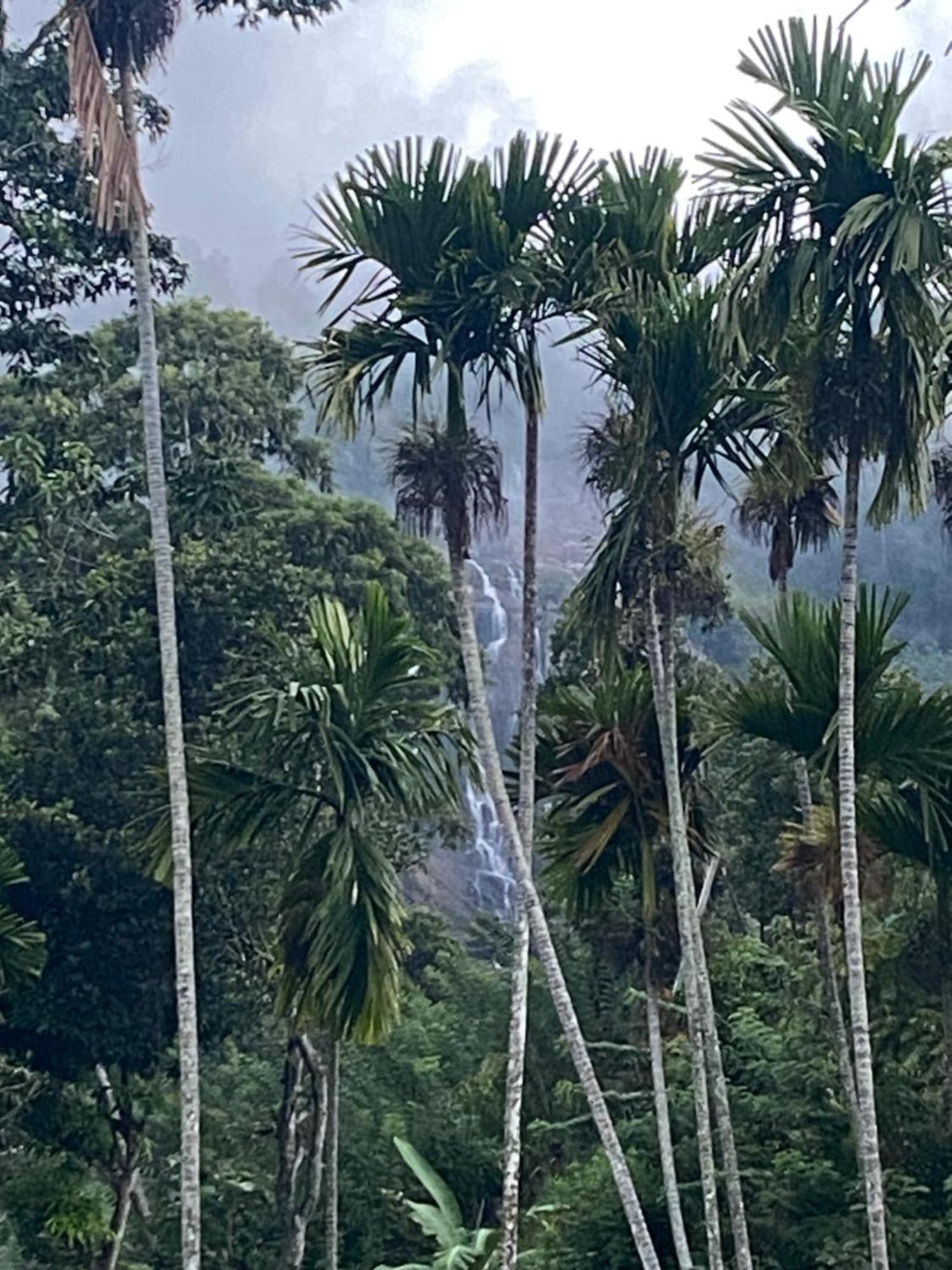 Cozy Homestay Waterfall Road Ella Esterno foto