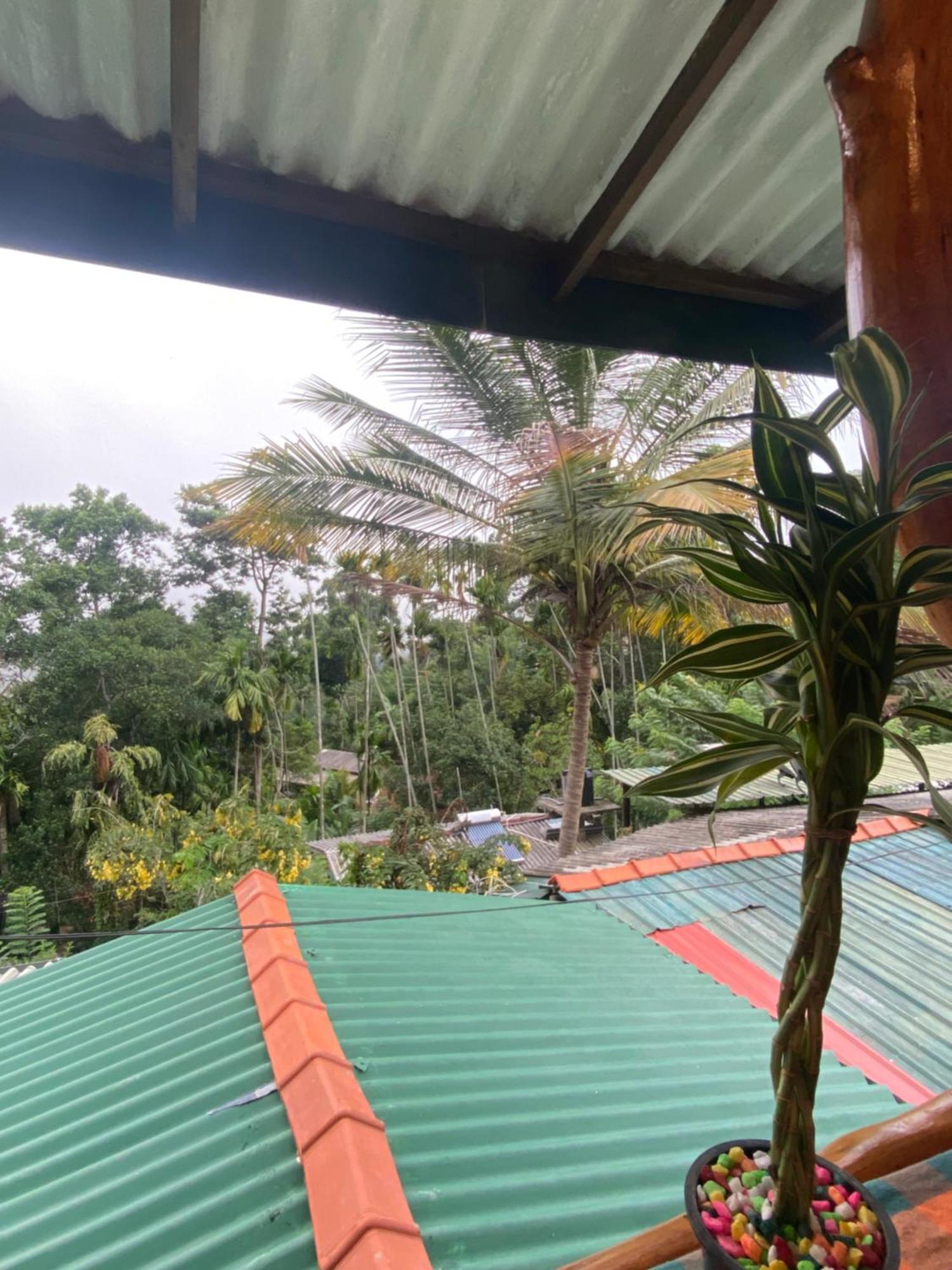 Cozy Homestay Waterfall Road Ella Esterno foto