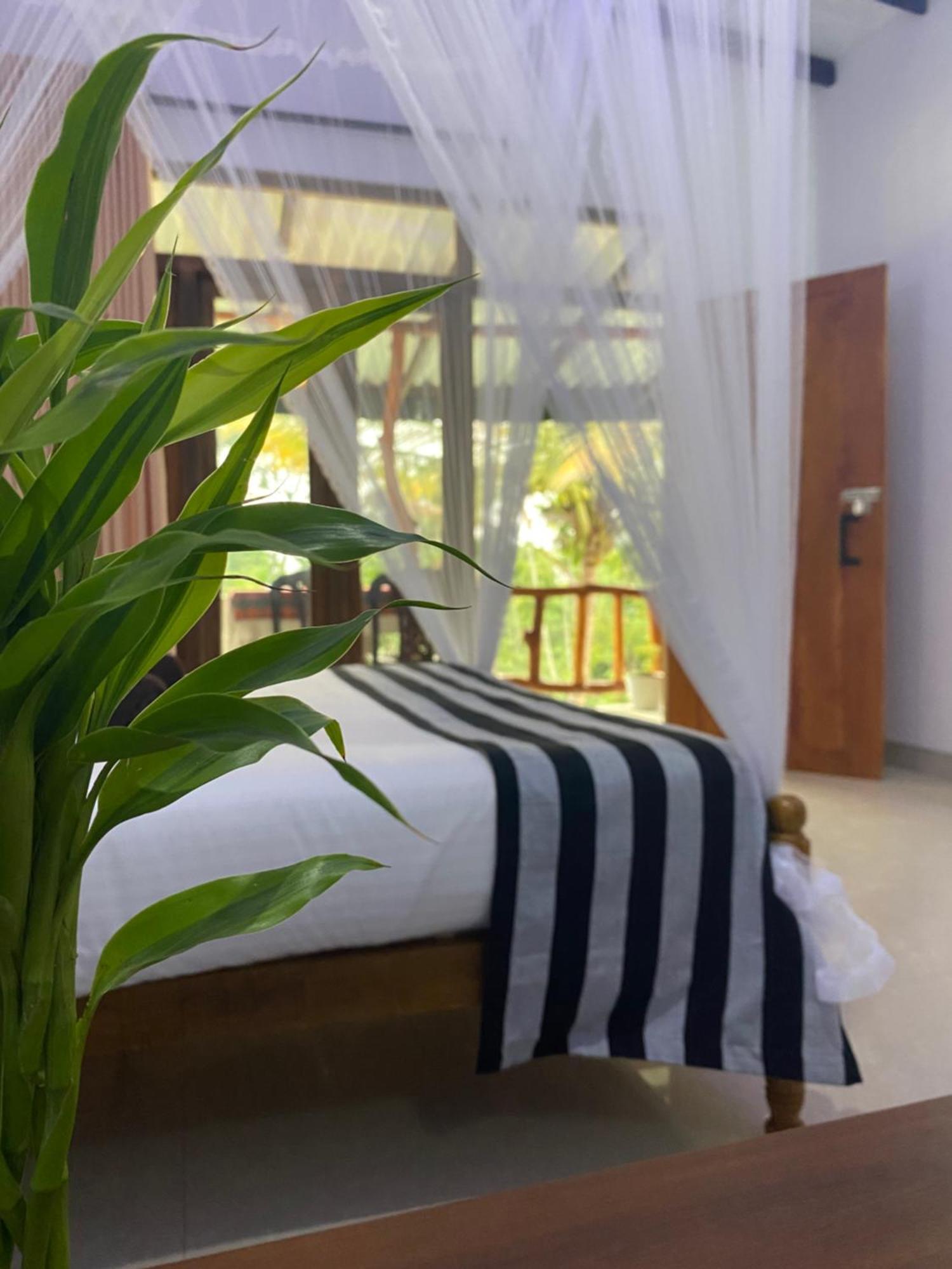 Cozy Homestay Waterfall Road Ella Esterno foto