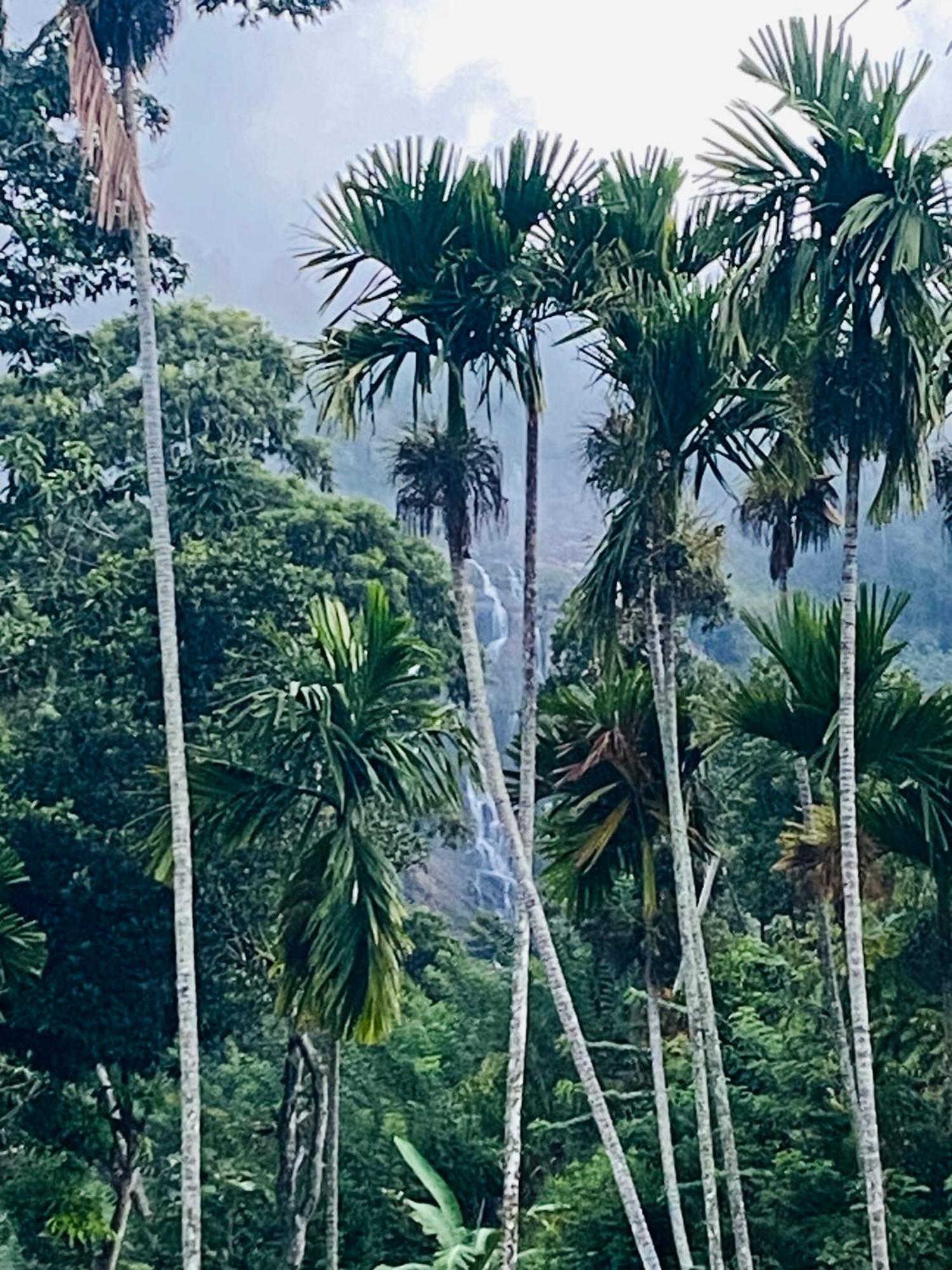 Cozy Homestay Waterfall Road Ella Esterno foto
