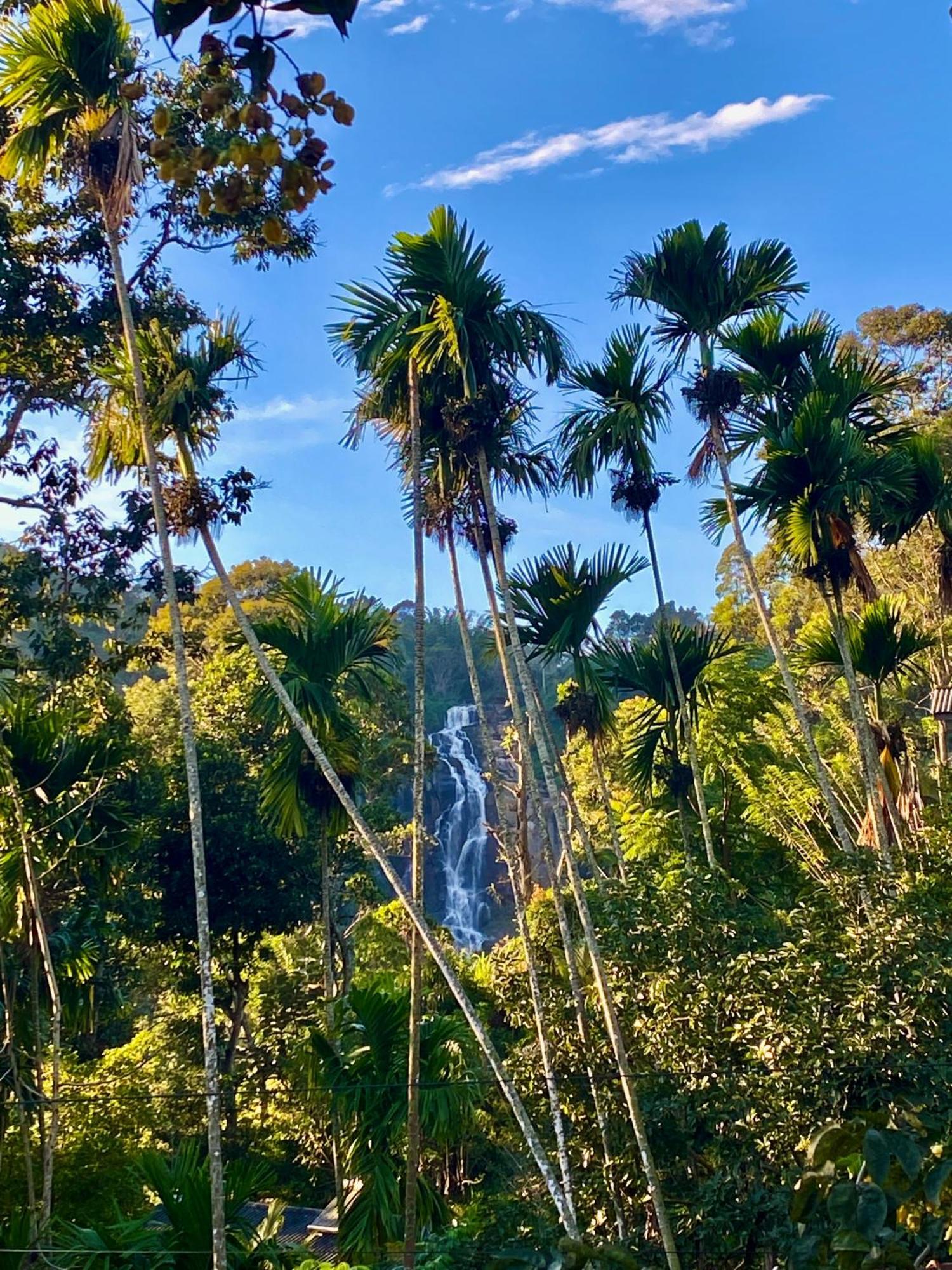 Cozy Homestay Waterfall Road Ella Esterno foto