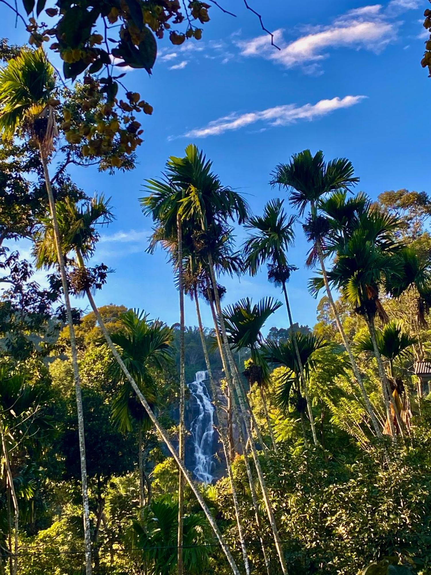 Cozy Homestay Waterfall Road Ella Esterno foto